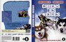 CHIENS DES NEIGES